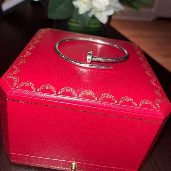 Cartier JUSTE UN CLOU BRACELET - Picture 5 of 5